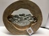 Fischschwarm im Baumstamm mit Aluminium