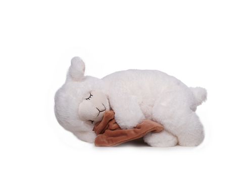 Schlafendes Schaf mit Tuch